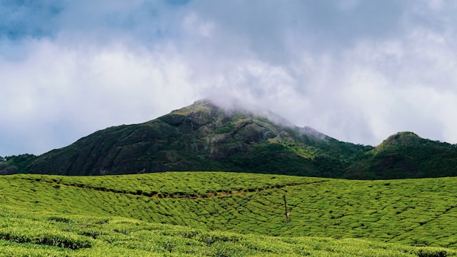 anshul-tilondiya-2_aLe9hC3_E-unsplash