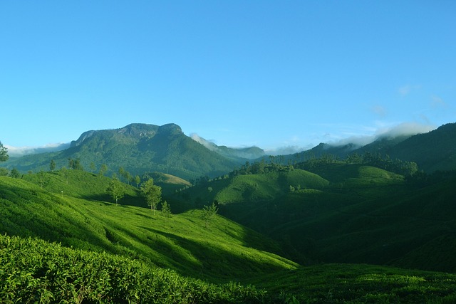 farm-1639120_640