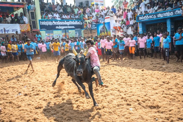 pexels-ranjith-kumar-677916668-17877232