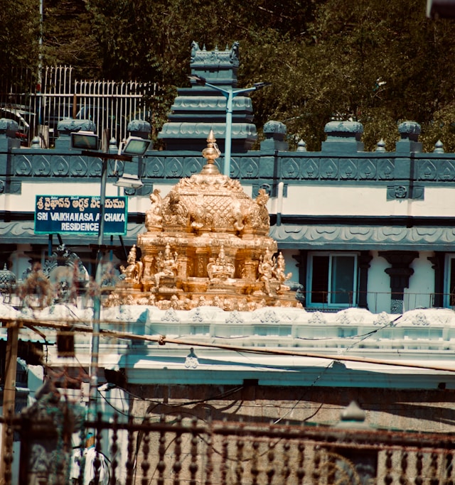 usha-kiran-yAYwvkRVUis-unsplash