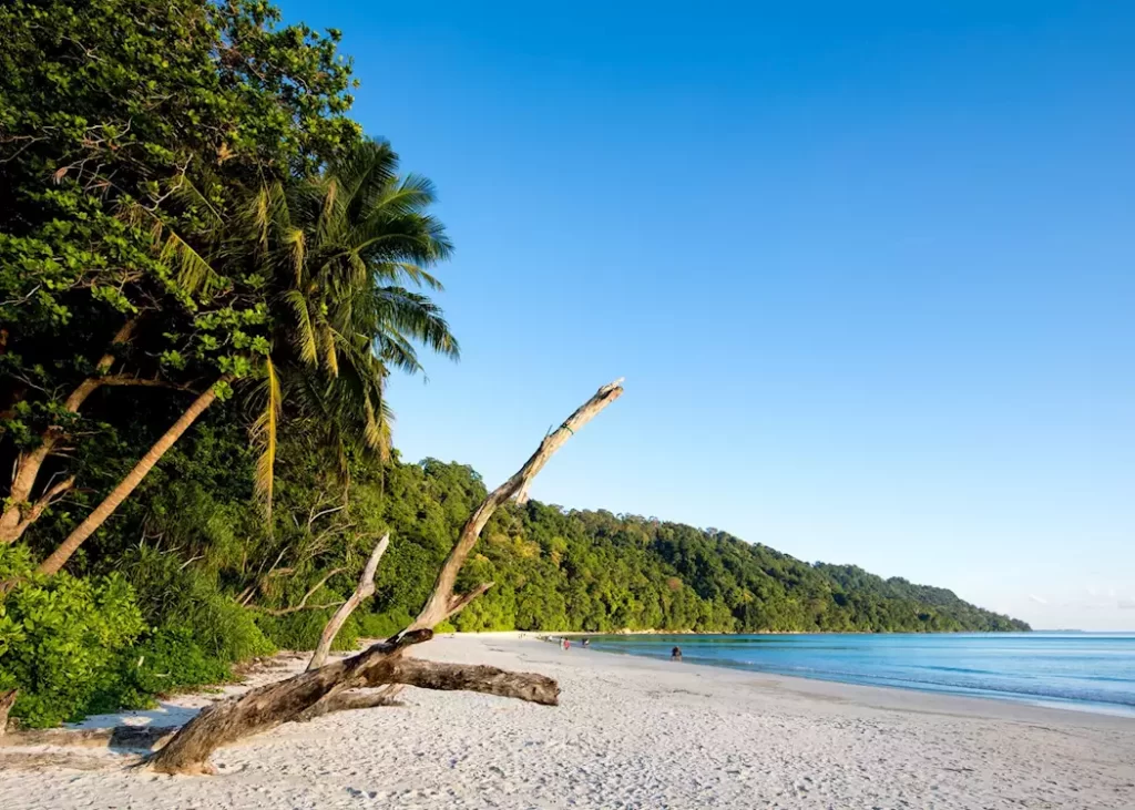 1338919-havelock-island